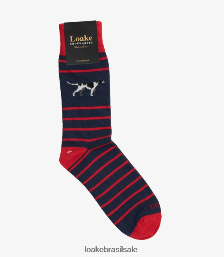 meias de ponteiromarinha J8F66V251 Loake acessórios