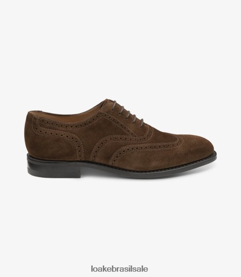 302camurça marrom J8F66V24 Loake brogues